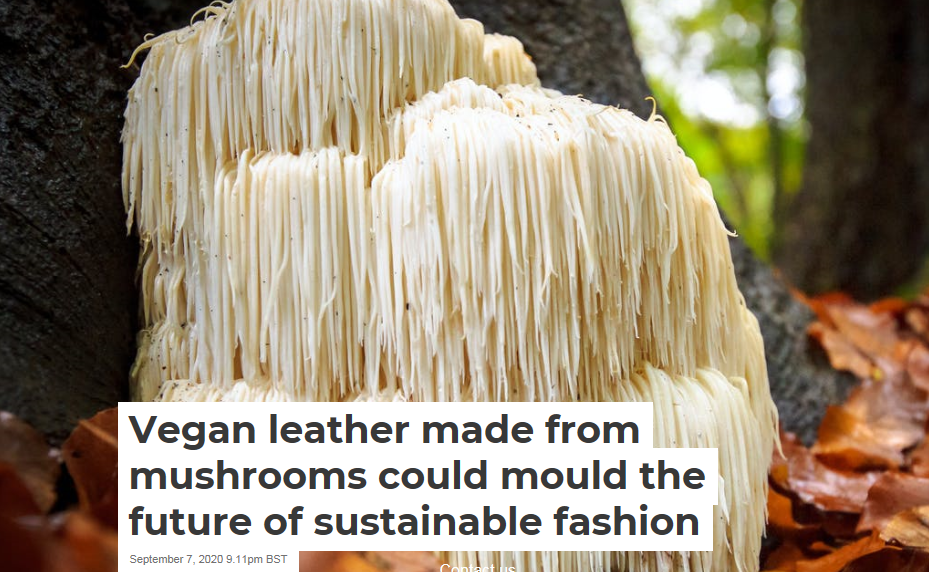 This leather bag is actually made from mushrooms